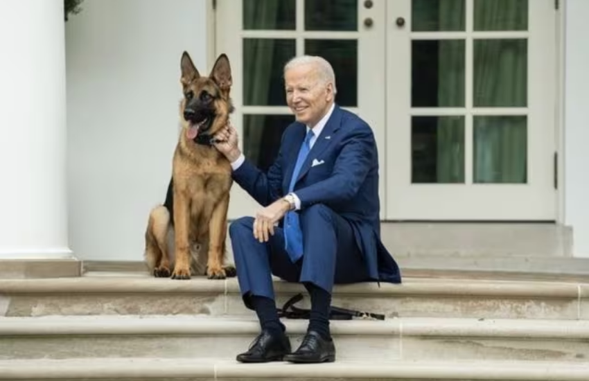Biden in imbarazzo per Commander: il suo cane morde un altro agente del Secret Service