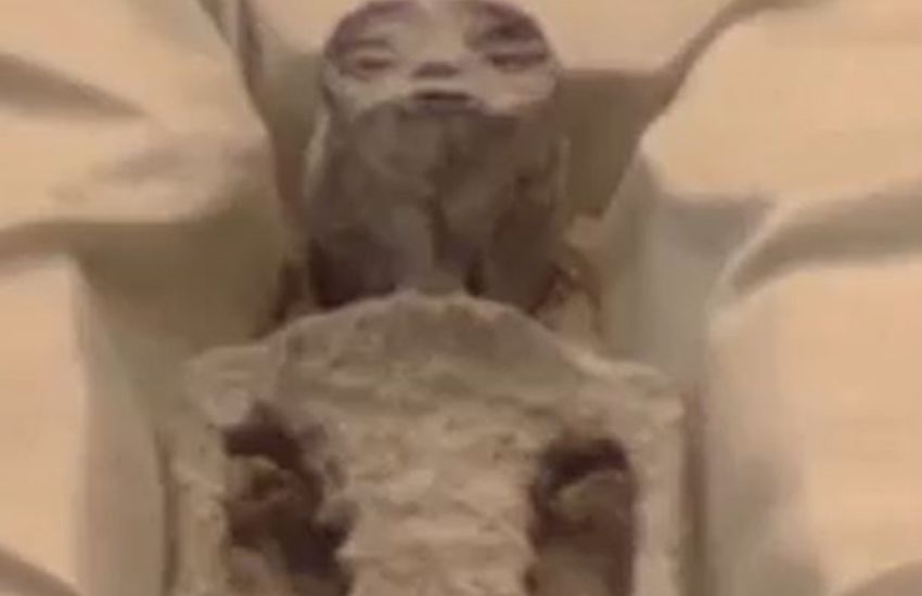 Messico, un ufologo mostra due cadaveri alieni: “Non siamo soli”