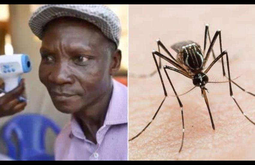 Uganda: uomo uccide zanzare coi suoi peti. Assunto da una azienda per creare un repellente