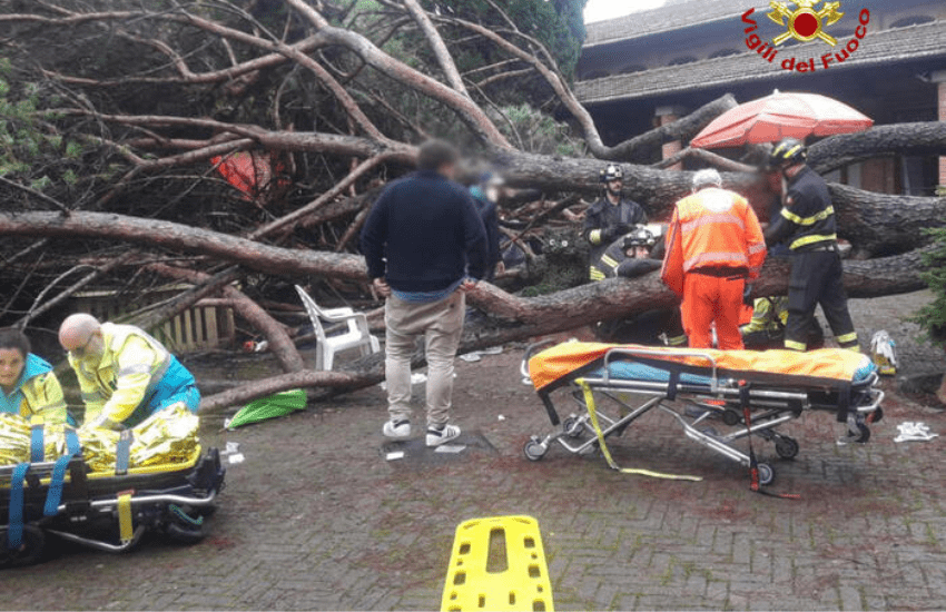 Montecatini: grosso pino si abbatte sui visitatori nel parco delle terme
