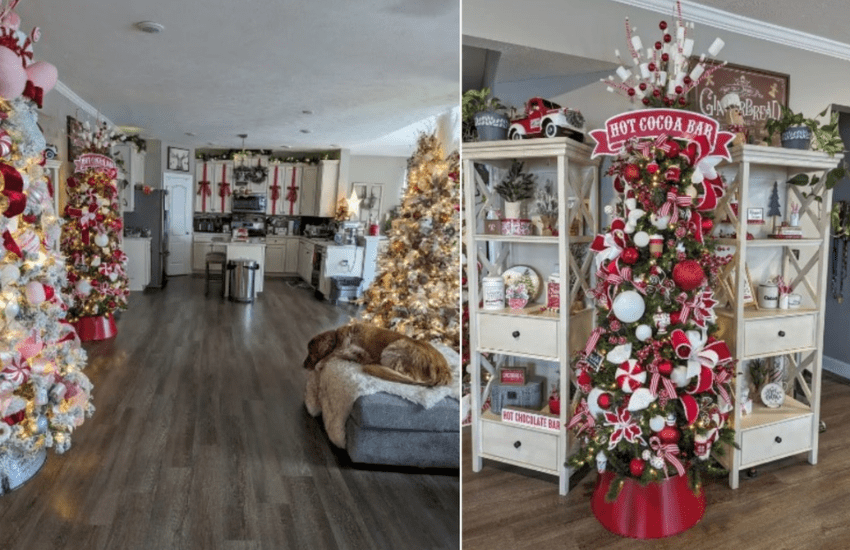 Ha 26 alberi di Natale in casa: “Impiego 3 mesi a prepararli, le decorazioni le ho accumulate in 22 anni”