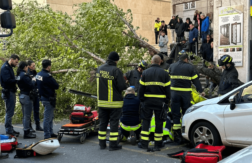Roma, via Aurelia, tragedia sfiorata: albero crolla sulle auto in transito. Strada chiusa, traffico in tilt