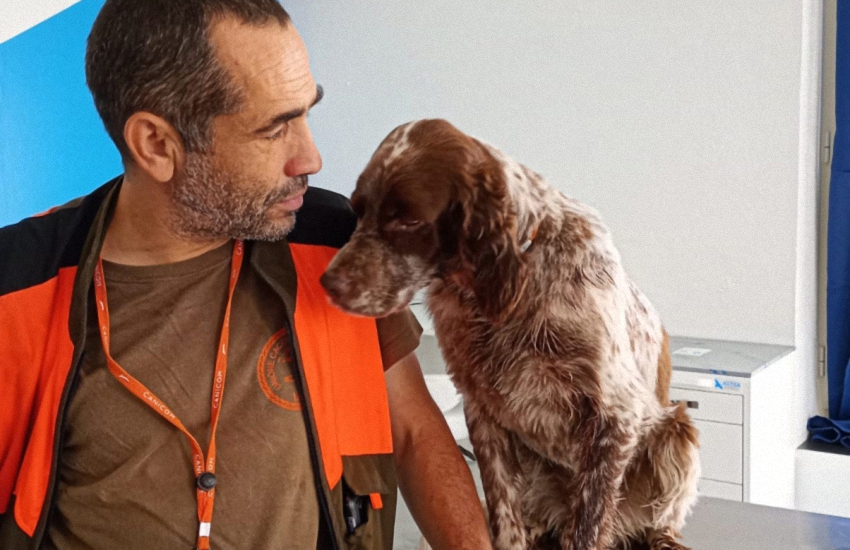 Sardegna: al cane viene un infarto (VIDEO), il padrone lo salva con un massaggio cardiaco