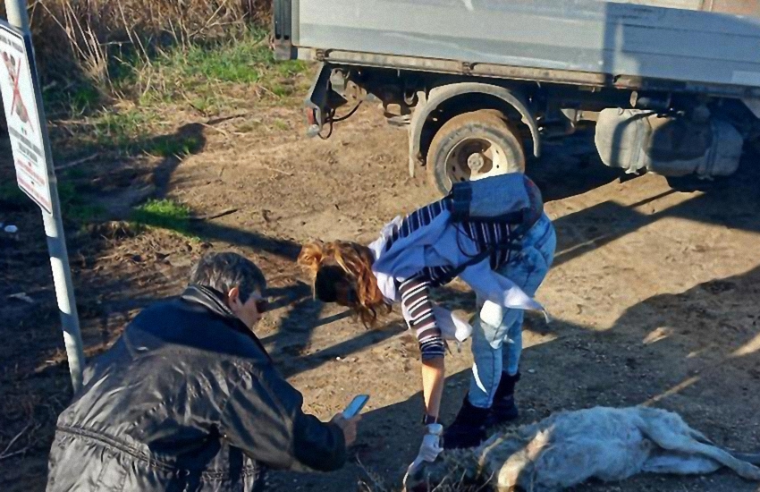 Sardegna: cane ucciso a fucilate e buttato nel fiume con una pietra legata al collo