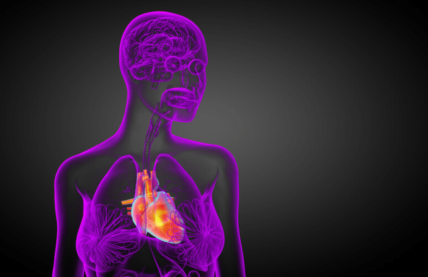 Con un esame del sangue si può scoprire quale organo invecchierà prima