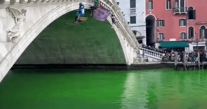 Paura al Lido di Venezia, sbaglia la manovra e l’auto finisce in acqua: conducente e cane tratti in salvo