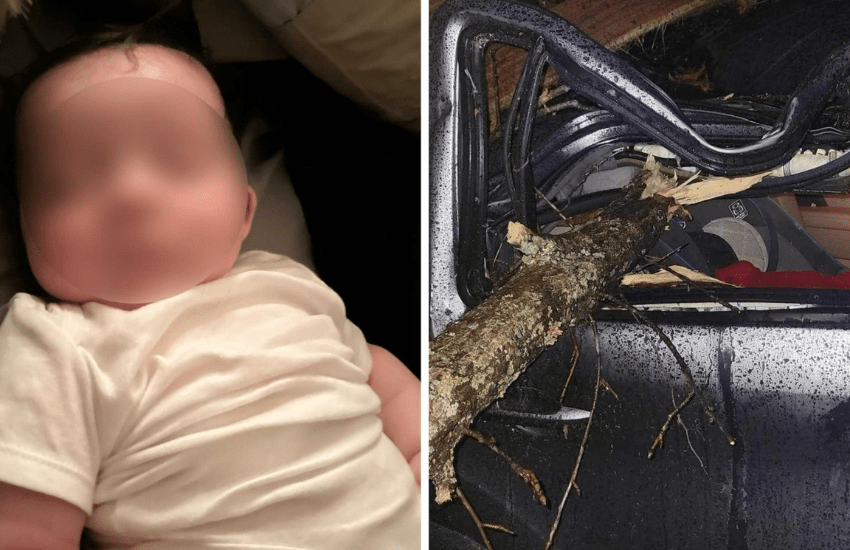 Neonato risucchiato dal tornado trovato su un albero: “Come se un angelo lo avesse poggiato lì” (VIDEO)