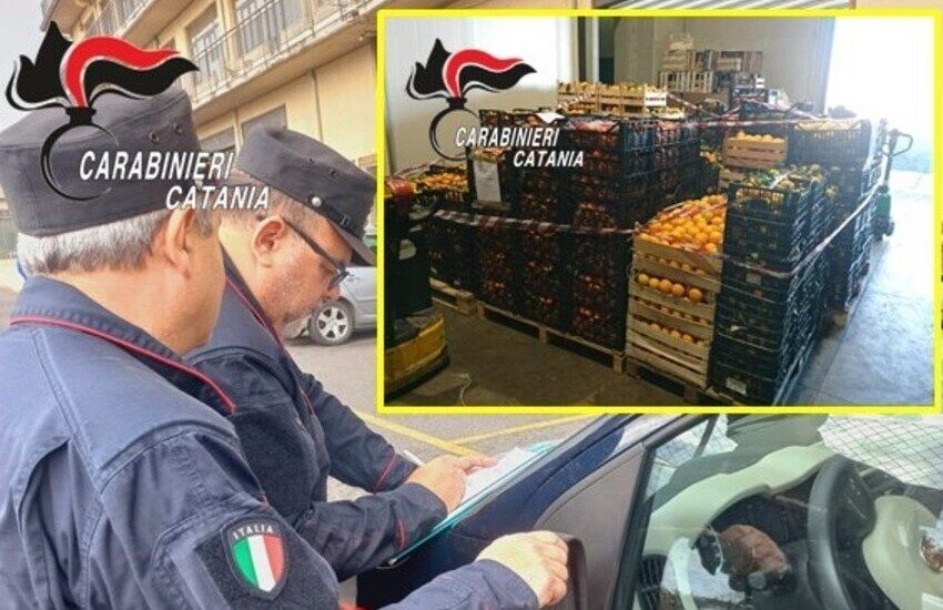 Catania, sequestrate 8 tonnellate di agrumi al mercato ortofrutticolo: multe a due società