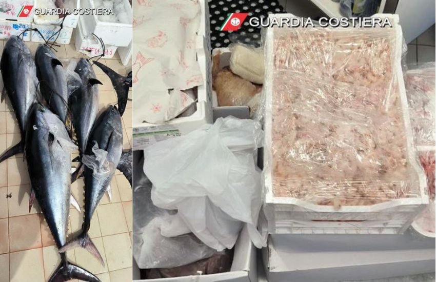Catania, maxi sequestro della Guardia costiera  