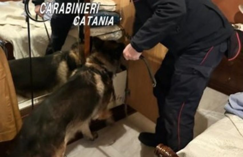 Biancavilla: perquisizioni in centro, il cane King trova marijuana nascosta in un mobile della cucina