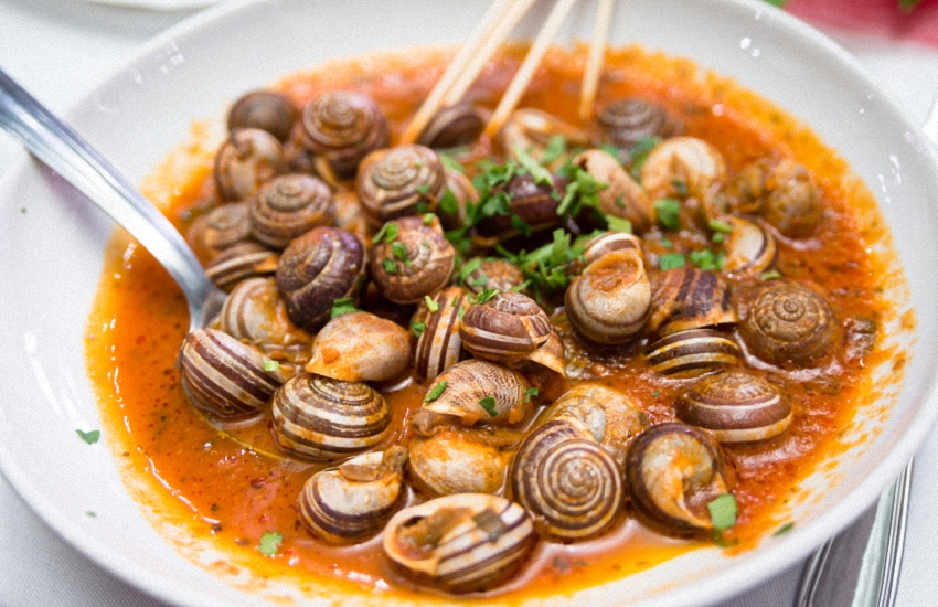 Cucina di Sardegna: “Sizzigorrusu cun bagna” (lumache al sugo), ricetta di Itala Testa
