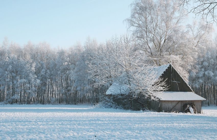 Il ferro in inverno: costruire solidità in condizioni estreme