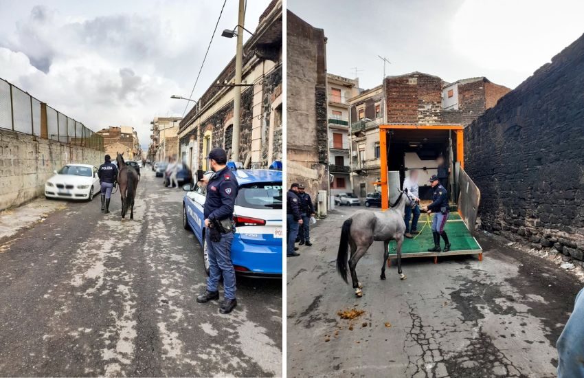 San Cristoforo, sequestrati 4 cavalli e diversi farmaci dopanti