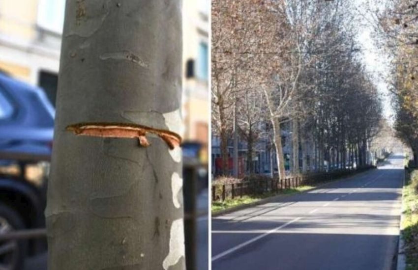“Gioco” macabro e pericolosissimo a Milano, cavo d’acciaio teso per la strada: “Poteva decapitare un motociclista” [VIDEO]