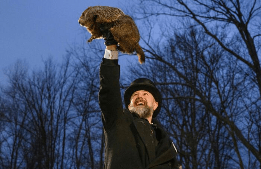 La marmotta ha deciso: primavera in anticipo