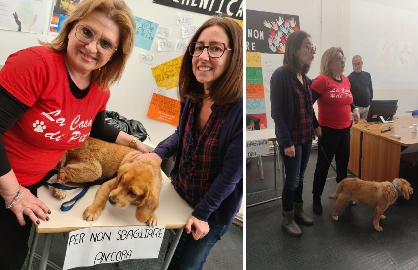 Caltagirone, diritti degli animali, avviati incontri di sensibilizzazione nelle scuole