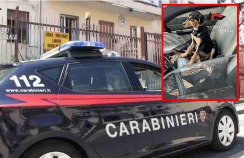 Giarre, abbandona quattro cuccioli di cane in caserma, 49enne denunciato