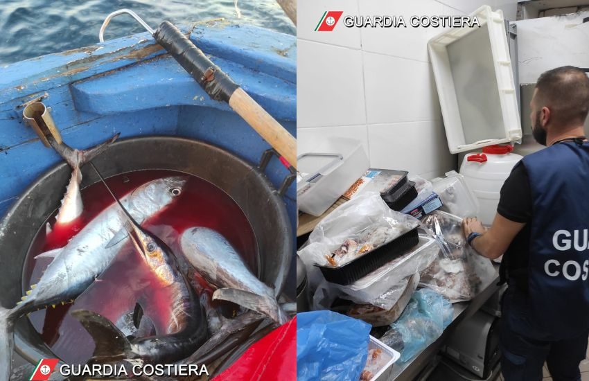 Operazione “Spinnaker”, sequestrati a Catania 800 kg di pesce dalla Guardia Costiera