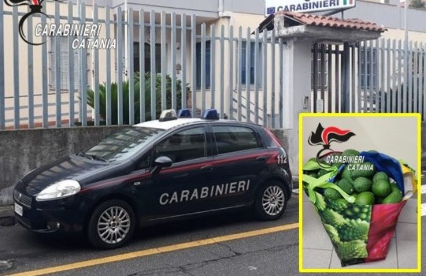Riposto, sorpreso dai Carabinieri a “raccogliere” avocado: arrestato un 57enne 
