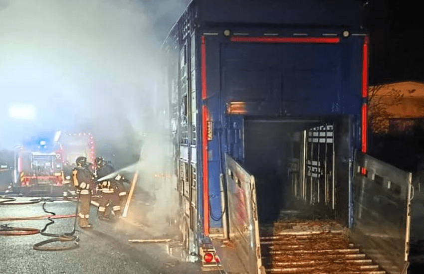 A5, incendio in direzione Torino: strage di vitelli
