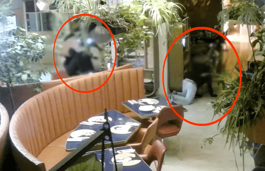 Milano, sgominata “la banda delle spaccate” in centro: sette arresti (VIDEO)