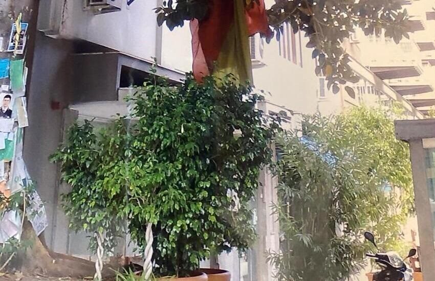 Palermo: Chinnici (Pd), Regione Siciliana acquisisca e curi l’Albero Falcone