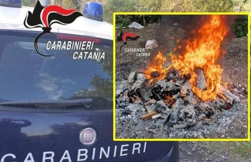 Paternò e Belpasso, reati contro l’ambiente: denunce e multe