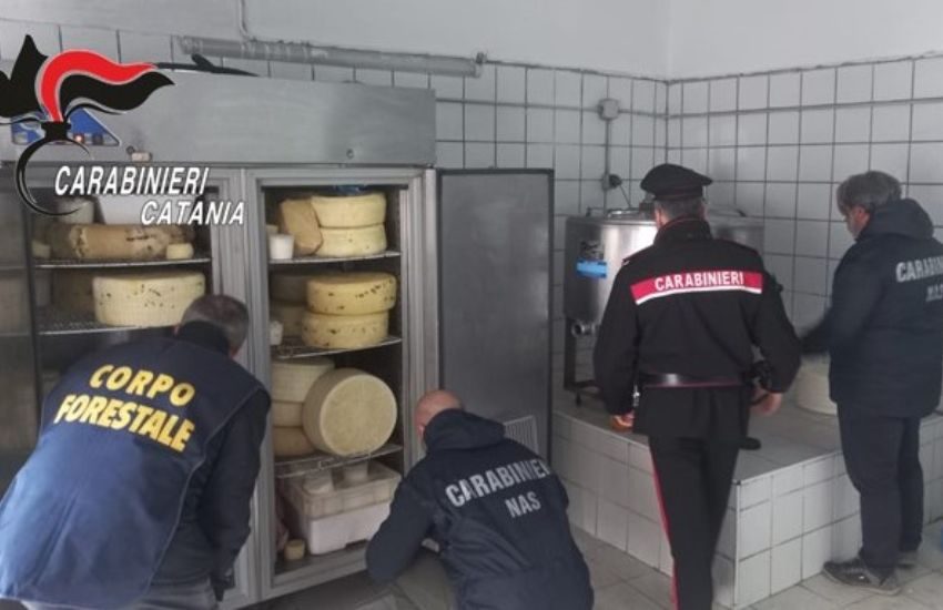 San Cristoforo, controlli ad un caseificio abusivo, sequestrata l’attività e denunciate due persone