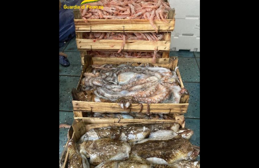Trapani, mercato del pesce abusivo, contestate violazioni sanitarie e sulla disciplina del lavoro