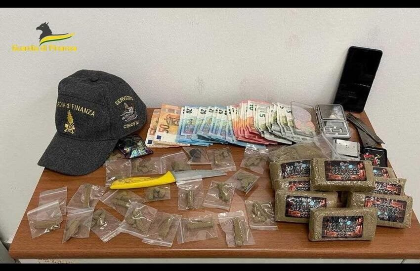 Palermo, i cani antidroga fiutano oltre 2 kg di hashish tra Ballarò e il Villaggio Santa Rosalia