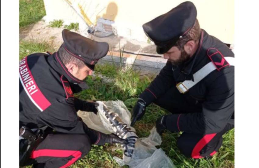 Ha una pistola mitragliatrice rubata in casa: nei guai casalinga pontina
