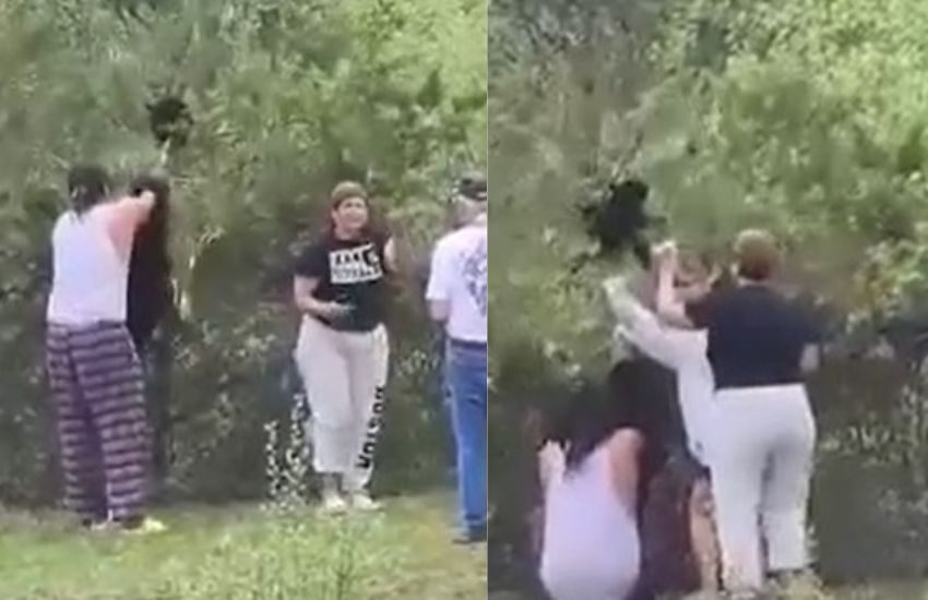 Turisti trascinano e feriscono due cuccioli di orso: aperta un’indagine [VIDEO]