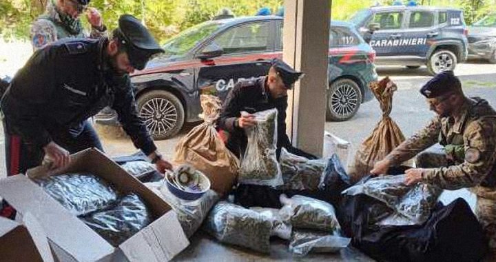 Sardegna: una serra di marijuana e 85 chili di droga nascosti in un casolare, 21enne in manette
