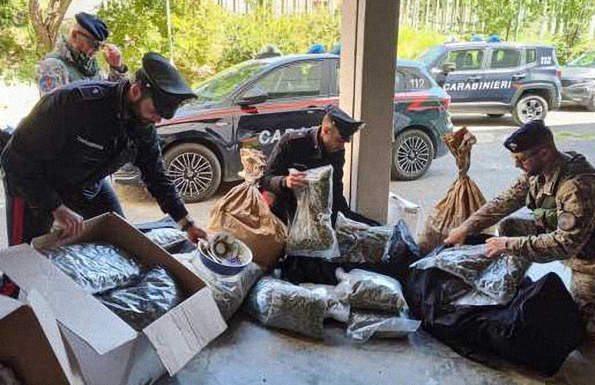 Sardegna: una serra di marijuana e 85 chili di droga nascosti in un casolare, 21enne in manette