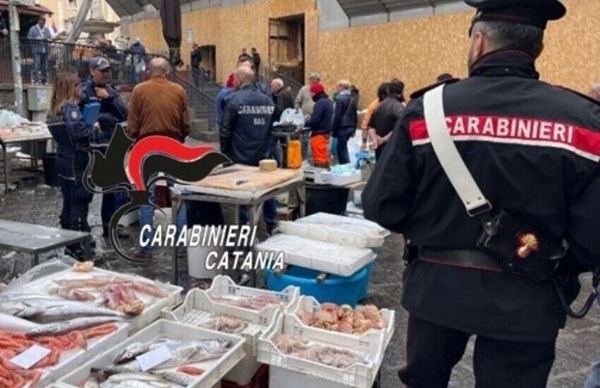 Catania, controlli a tappeto in Pescheria: gli abusivi si danno alla fuga