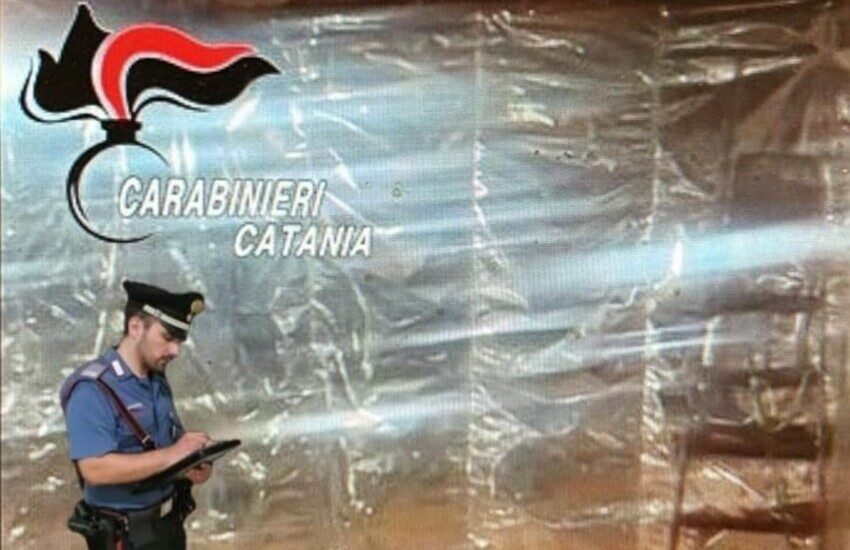 Pedara, scoperta serra e un laboratorio per il confezionamento di droga: 39enne denunciato