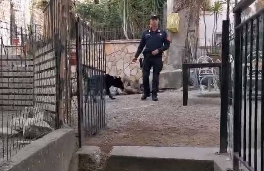 Sgominata la banda che inondava di droga il sud pontino: 4 arresti dei carabinieri