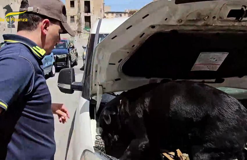 Palermo, sequestrati 3,5 kg di cocaina a un pericoloso latitante. Arrestato (VIDEO)