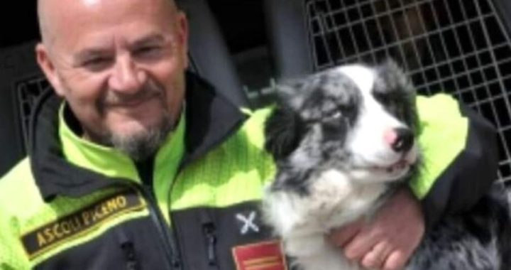 Addio a Galassia, il cane eroe che salvò la vita a 4 persone tra Rigopiano e il ponte Morandi