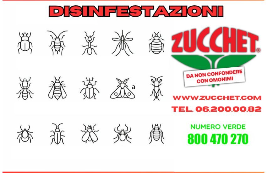 Aziende di disinfestazione a Roma: l’importanza di rivolgersi ai professionisti
