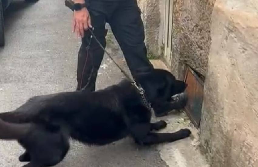 Operazione antidroga dei carabinieri in provincia di Latina: tre arresti. Sequestrato mezzo chilo di sostanza stupefacente