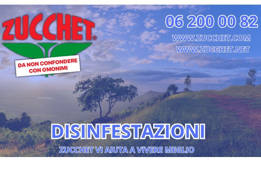 Disinfestazione a Roma: Soluzioni Efficaci per Casa e Azienda