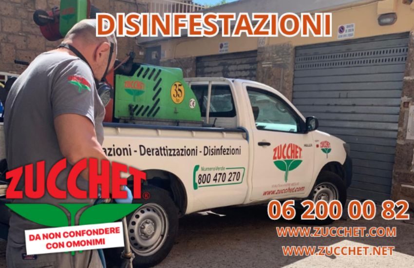 Disinfestazione in Casa a Roma: La Guida Completa per un Ambiente Libero da Parassiti