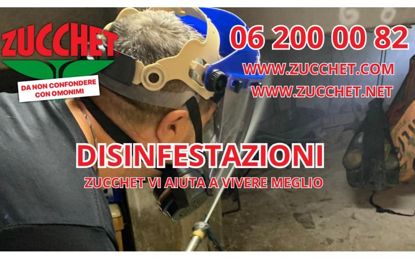 Aziende di Disinfestazione a Roma: L’Importanza di Rivolgersi ai Professionisti
