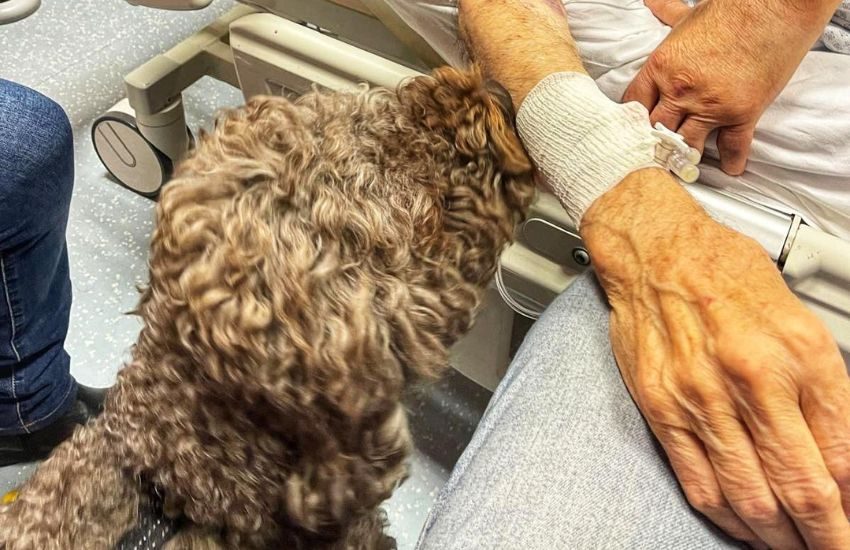 Milano, l’ultima carezza alla sua cagnolina prima di morire: esaudito il desiderio di Silvano in ospedale