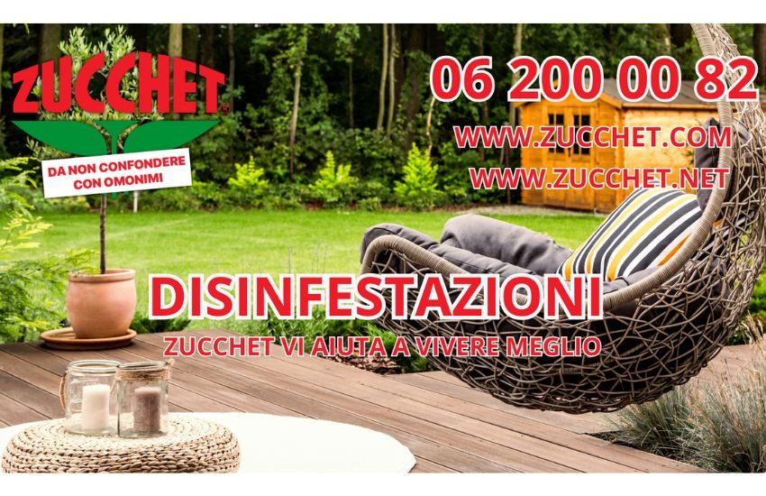 Disinfestazione in Casa a Roma: Come Garantire un Ambiente Sano e Sicuro