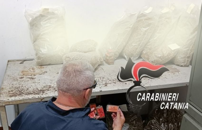 Cibali, scoperti e sequestrati 11kg di marijuana in un palazzo zona stadio