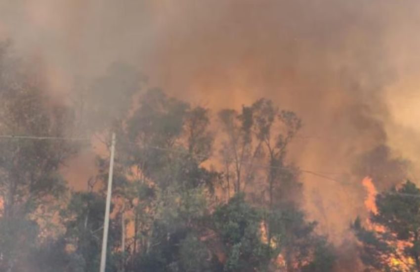 Enna, grossi incendi a Piazza Armerina e Valguarnera, case a rischio e allevamenti evacuati
