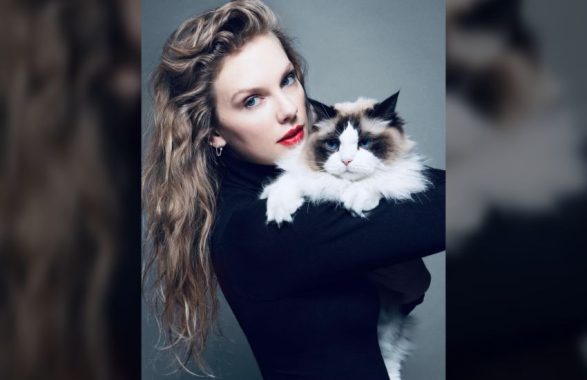 dibattito trump kamala harris