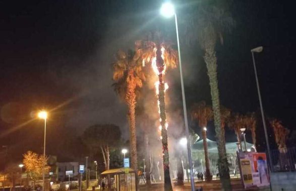 palma incendiata